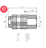 TEFEN TEFEN Plastic Quick Release Socket BSPT Female