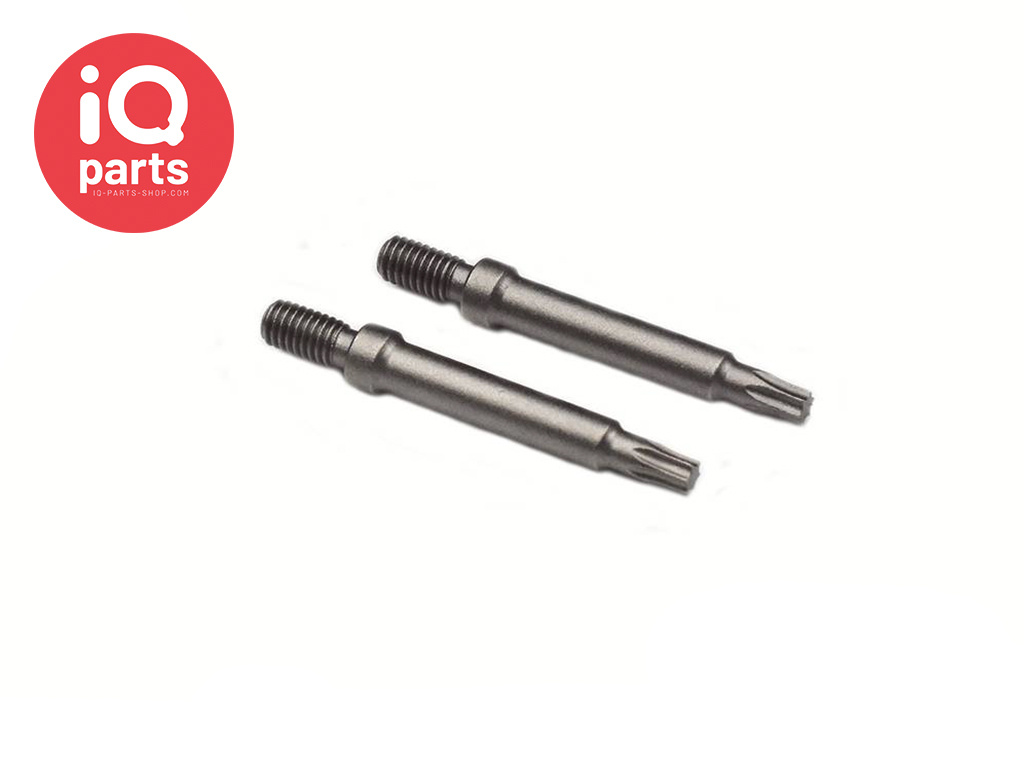 Torx Screw Bit