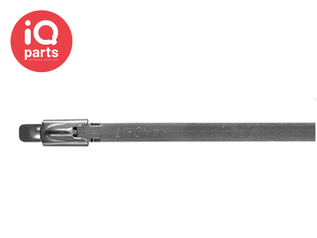 BAND-IT BAND-IT® Ball-Lok Tie Stainless steel AISI 304 Cable tie - 4,6 mm - W4