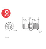 CPC CPC - MC2402BSPT / MCD2402BSPT | Coupling Insert | Chrome-plated brass | 1/8" BSPT Pipe Thread