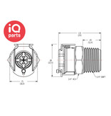 CPC CPC - PLCD10006V | Coupling body | Acetal | 3/8" NPT Pipe thread (BMW)