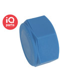 TEFEN TEFEN Plastic Pipe Cap BSPT Female