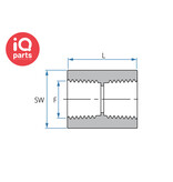 TEFEN TEFEN PVDF Draadfitting | Sok | BSPT