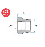 TEFEN TEFEN PVDF Pipe Bushing | BSPT Male/Female