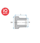 TEFEN TEFEN PVDF Draadfitting | Plug | BSPT