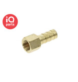 IQ-Parts IQ-Parts - Hose Connector | Female BSPT | Straight | Brass