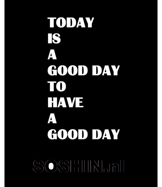 APOLLO 2x Bamboo zwart t-shirt V-neck