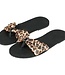 Leopard sandalen met dierenprint - Foto 1 Soshin