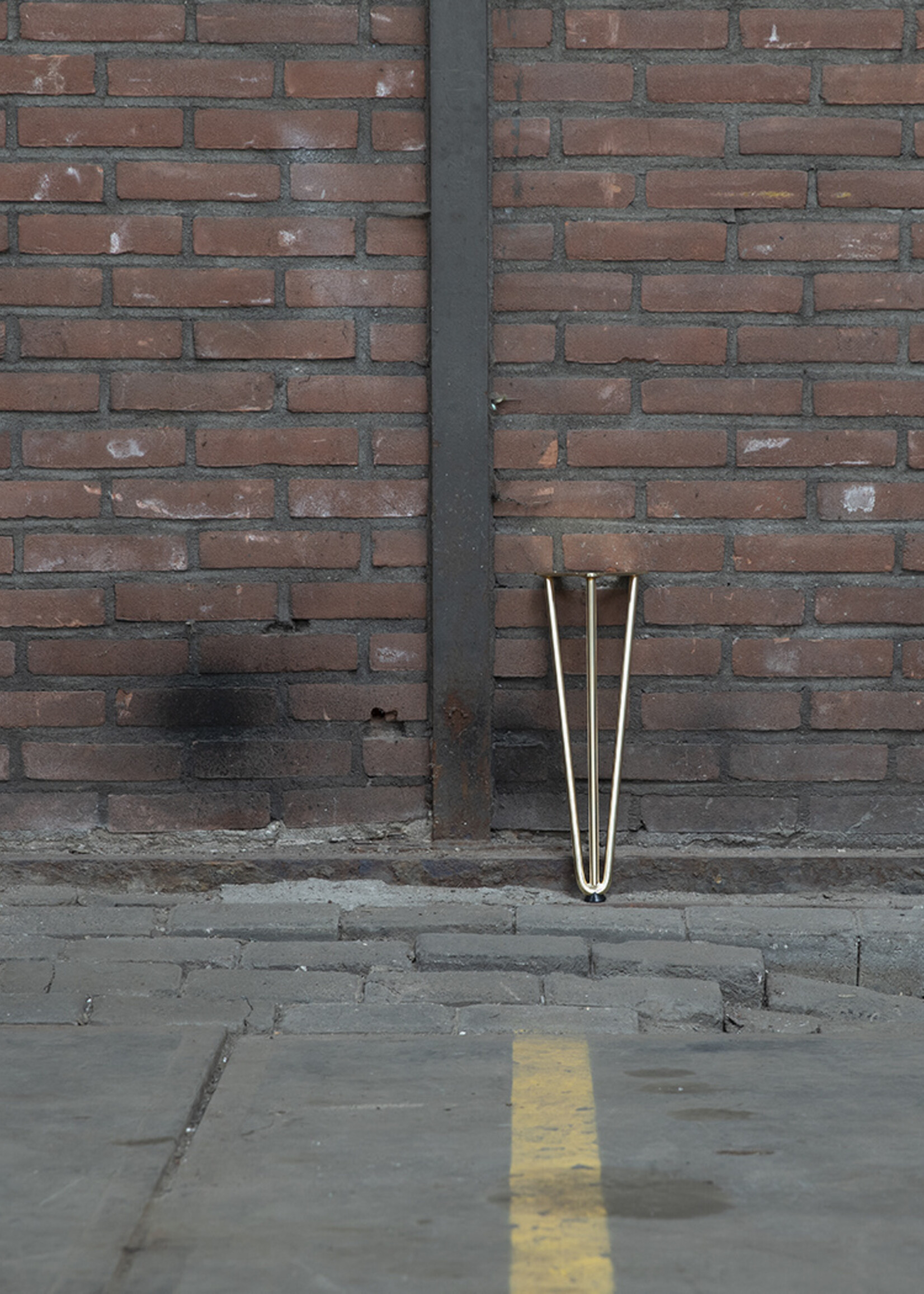Set hairpin bankpoten goud