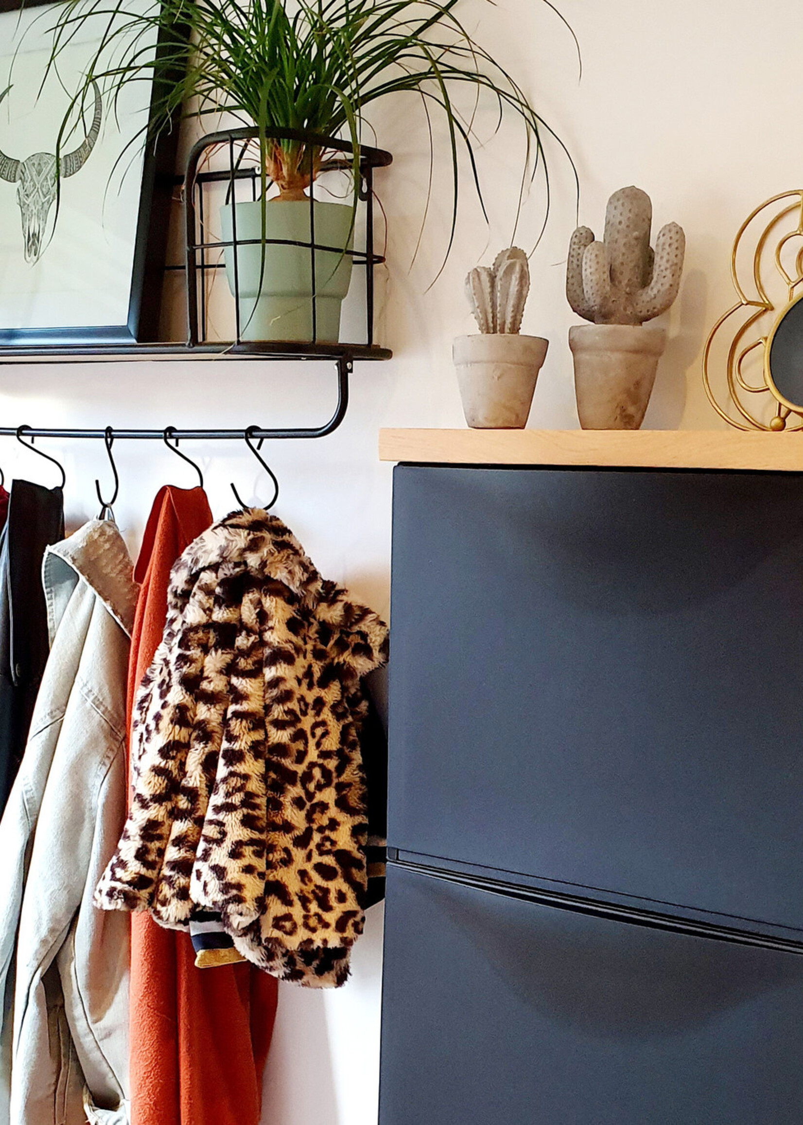 Trones schoenenkast eikenhouten plank