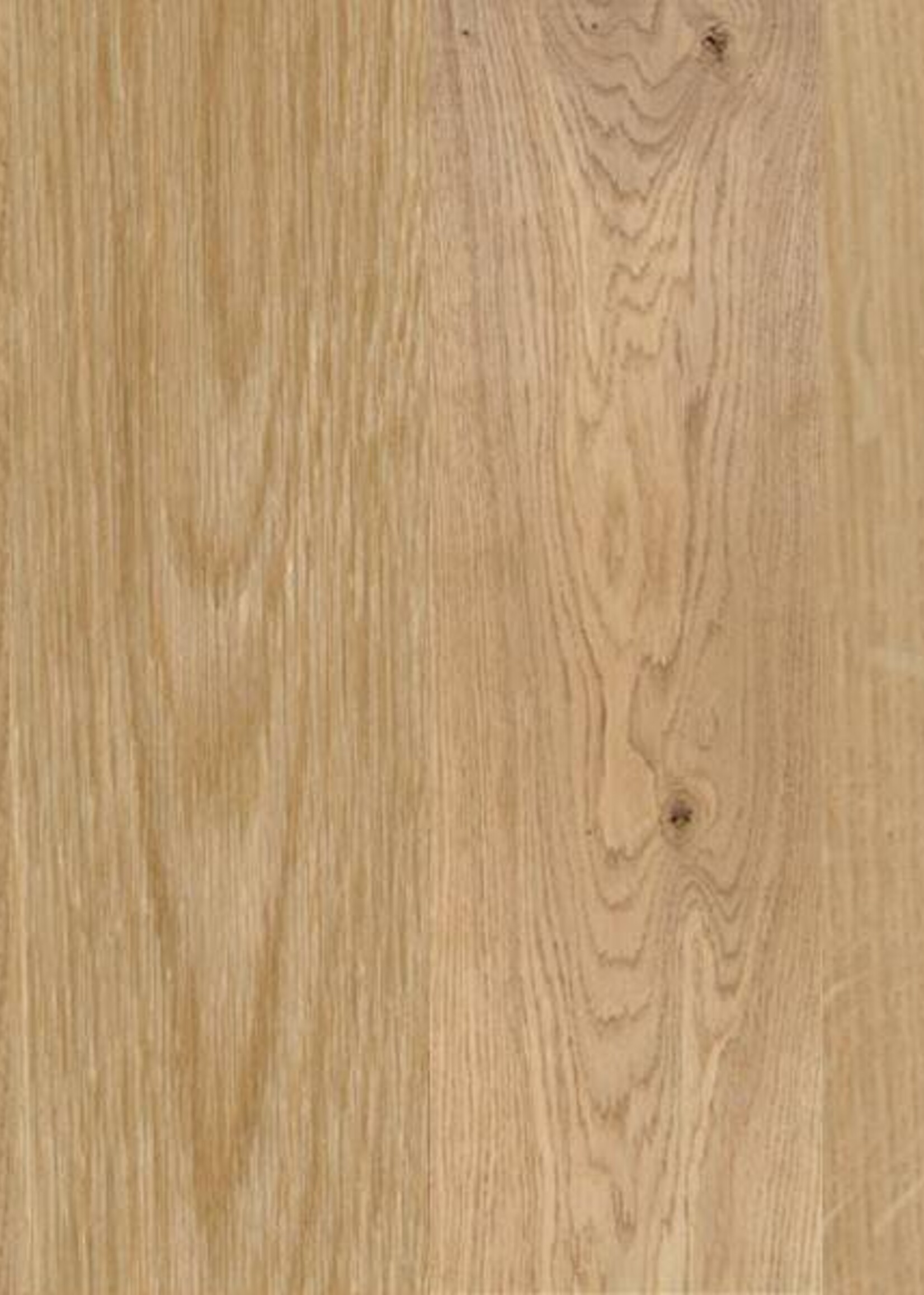 Eikenblad 260x100