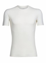 Icebreaker  ICEBREAKER M's Anatomica SS Crewe Merino - Snow