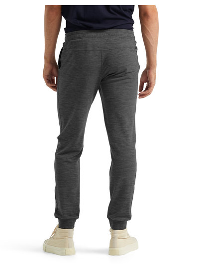 Icebreaker  ICEBREAKER Shifter Pants Herren - Gritstone Heather