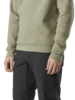 Arcteryx  ARCTERYX Levon Pants Herren - Kingfisher