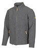 Ivanhoe Ivanhoe of Sweden GY Brunstorp - Grey