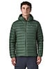 Patagonia  Patagonia Mens Down Sweater Hoody - Treeline Green