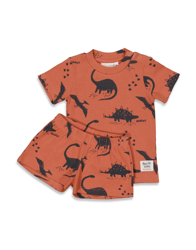 Feetje Baby Pyjama Dino Dale Brique Premium Summerwear