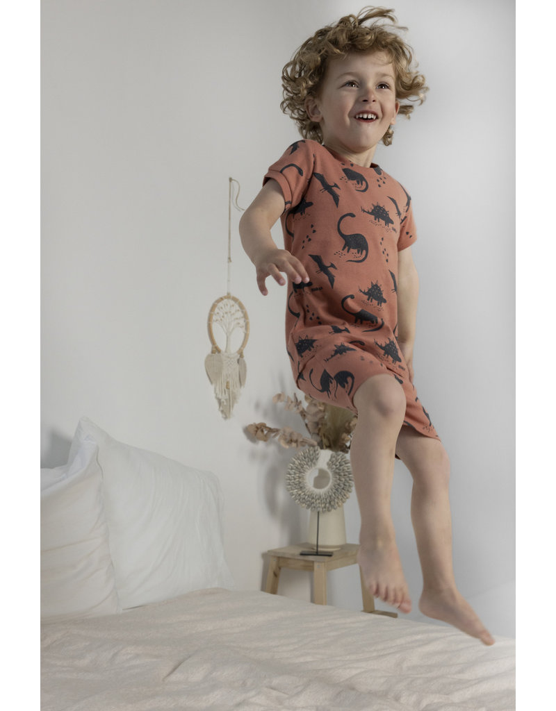 Feetje Baby Pyjama Dino Dale Brique Premium Summerwear