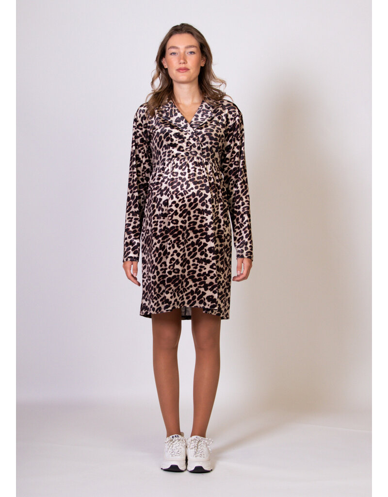 Love2Wait Love2Wait jurk Collar Velvet Leopard-Dessin C232011 016