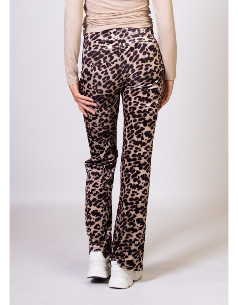 Love2Wait Love2Wait flared Pants Velvet Leopard print C232012 016