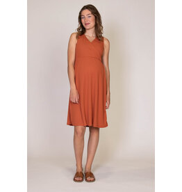 Love2Wait Love2Wait zwangerschap / voedingsjurk Dress Siena - aragon rose