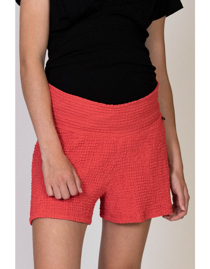 Love2Wait Love2Wait short Crepe - Coral red - C241043 078