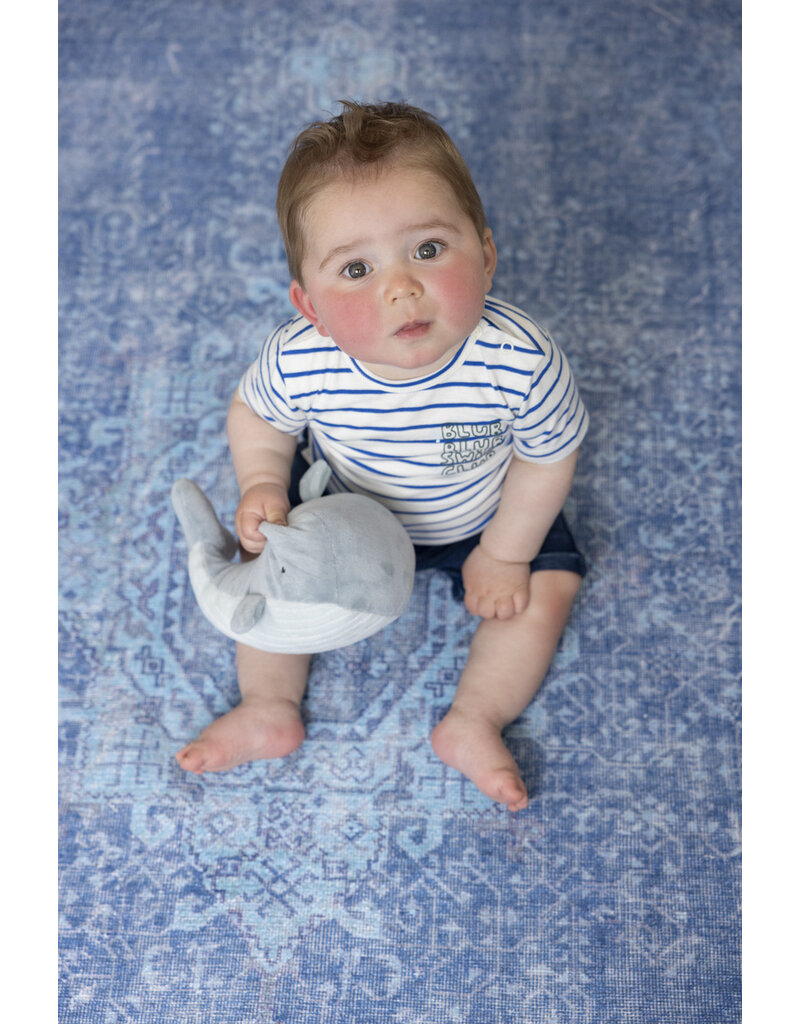 Feetje Baby Feetje - Short - Protect Our Reefs - Indigo - 52100394