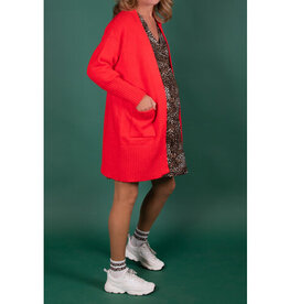 Love2Wait Love2Wait zwangerschapsvest - Knitted Pockets - Red