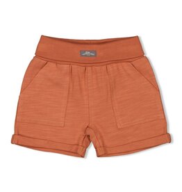 Feetje Baby Feetje Jongens Short - Mini Adventurer brique