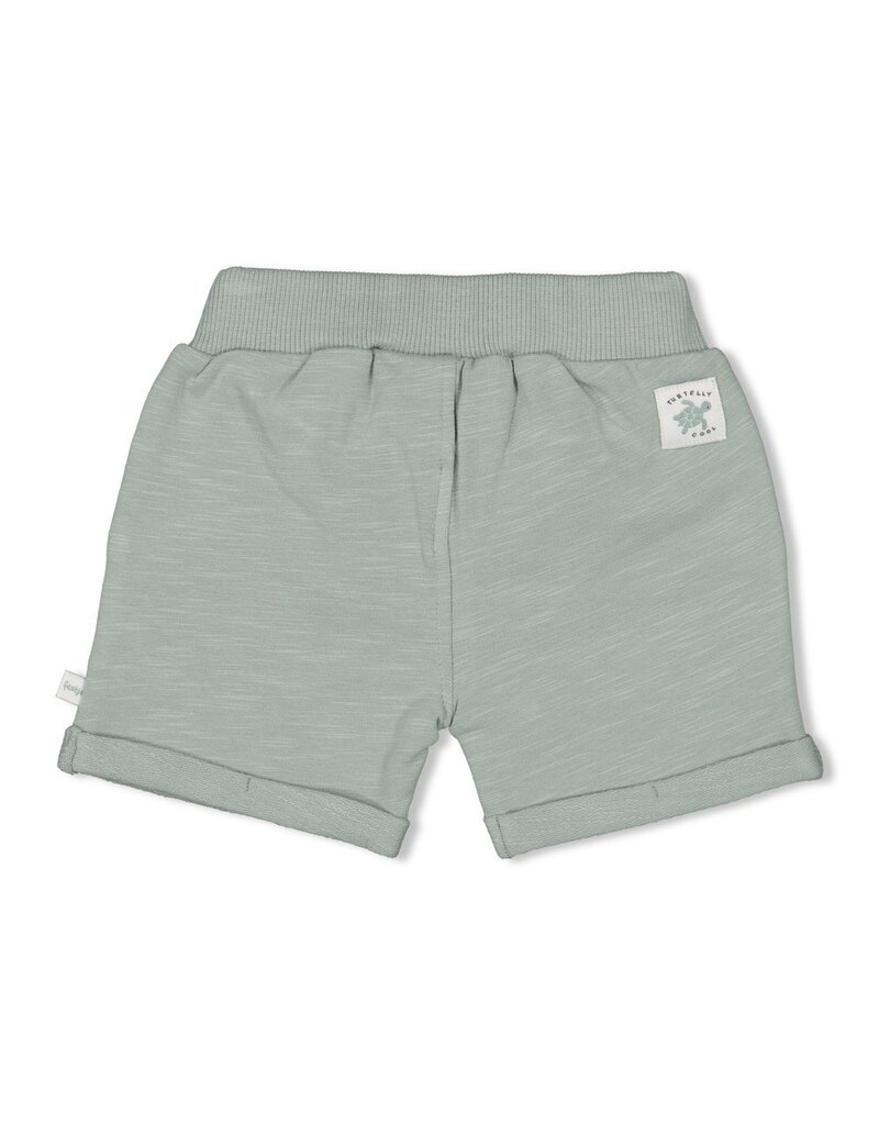 Feetje Baby Feetje Short - Turtelly Cool - zeegroen - 52100416