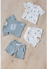 Feetje Baby Feetje Short - Turtelly Cool - zeegroen - 52100416