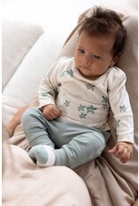 Feetje Baby Feetje Sokjes - Turtelly Cool - offwhite - 50400314