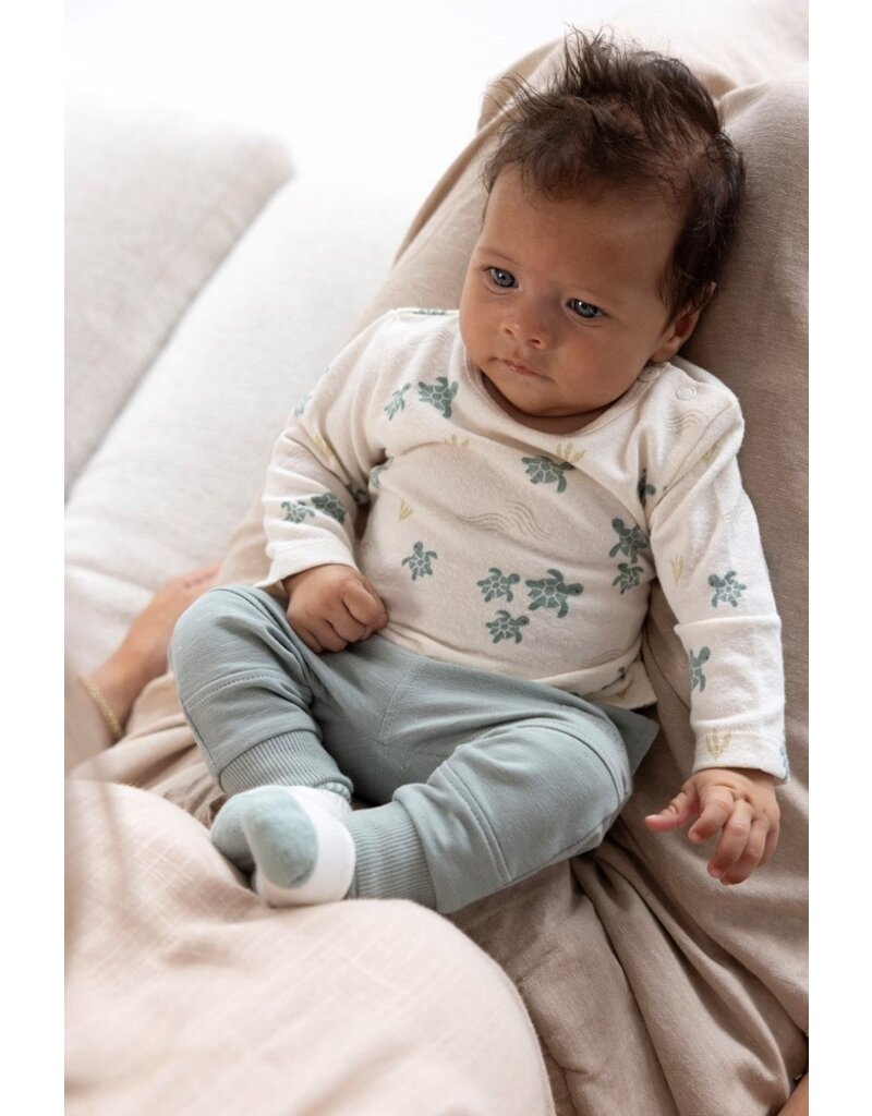 Feetje Baby Feetje Sokjes - Turtelly Cool - offwhite - 50400314