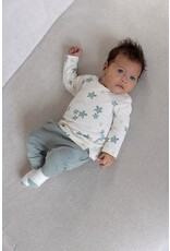Feetje Baby Feetje Sokjes - Turtelly Cool - offwhite - 50400314