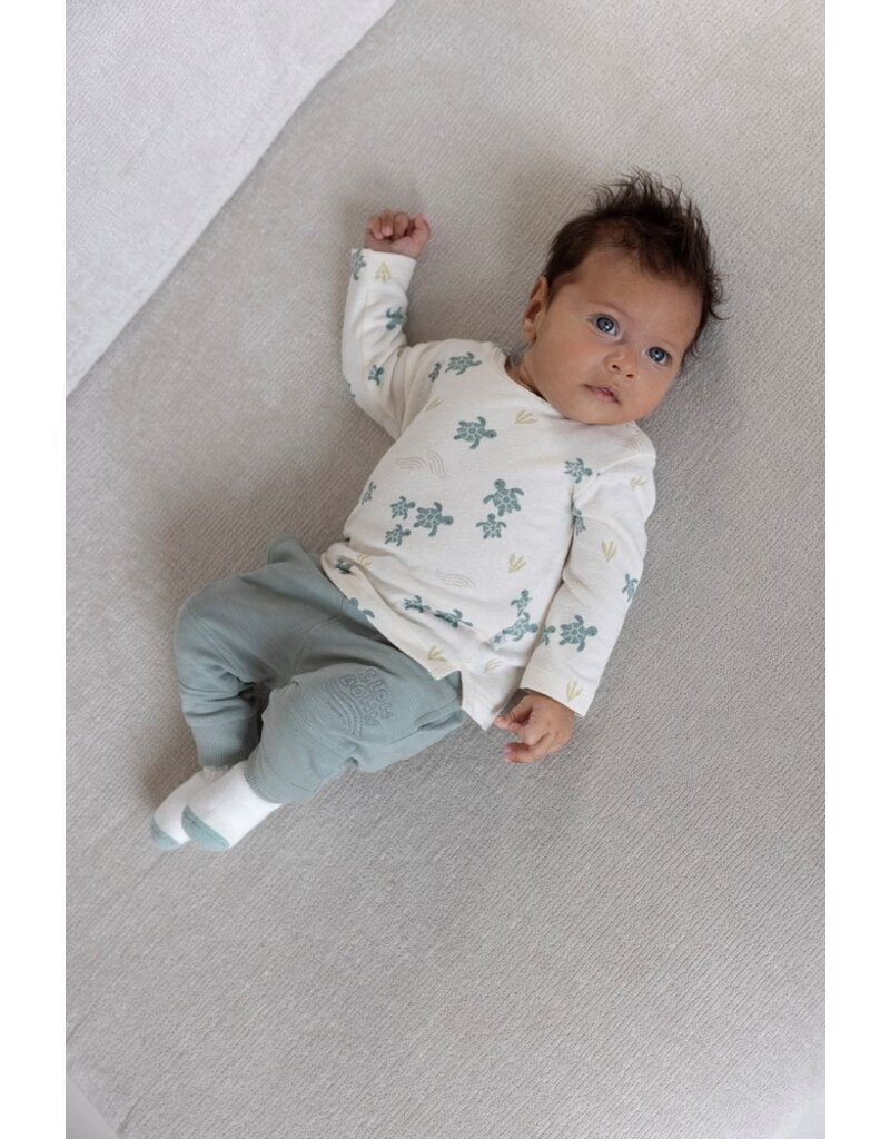 Feetje Baby Feetje Sokjes - Turtelly Cool - offwhite - 50400314