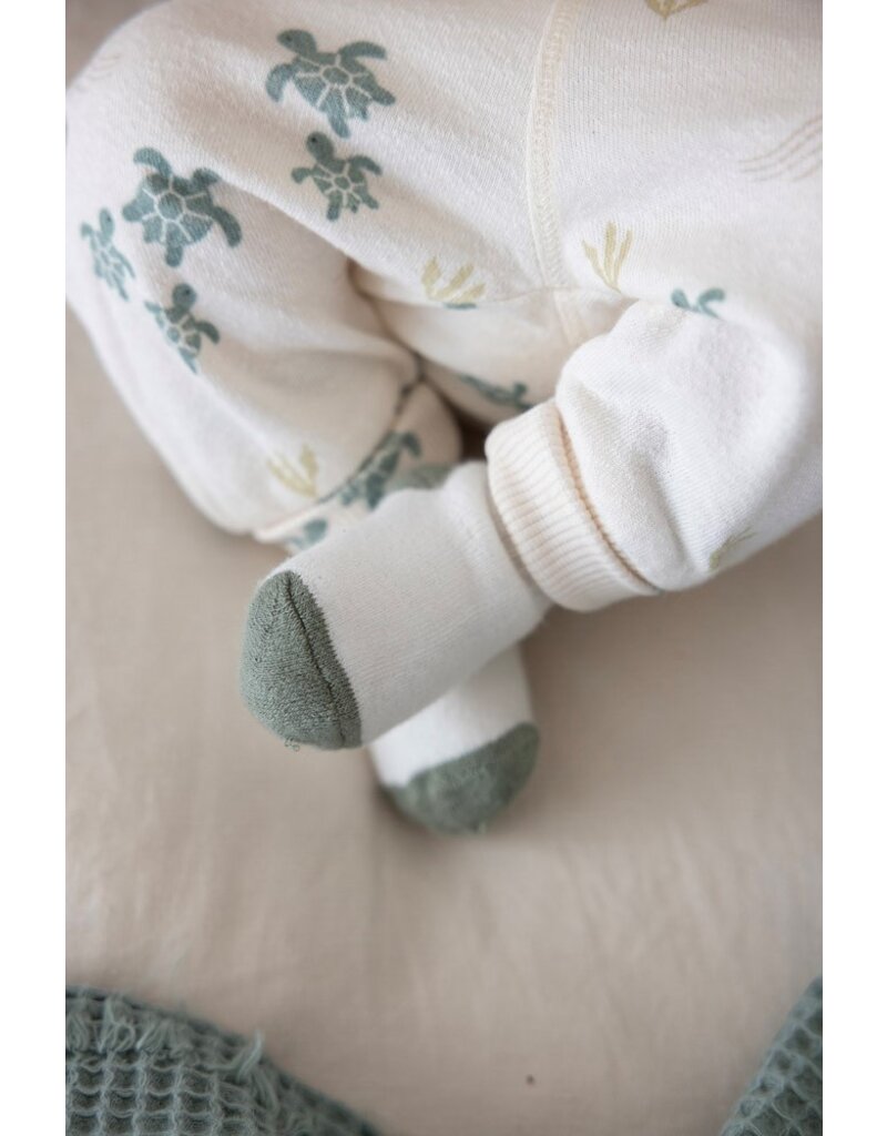Feetje Baby Feetje Sokjes - Turtelly Cool - offwhite - 50400314