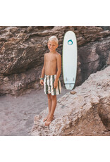 Salted Stories Salted Stories - Swim Short- Wide Stripe
