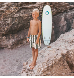 Salted Stories Salted Stories - Swim Short - Wide Stripe