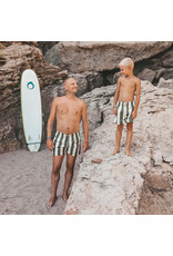 Salted Stories Salted Stories - Swim Short- Wide Stripe