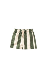 Salted Stories Salted Stories - Swim Short- Wide Stripe