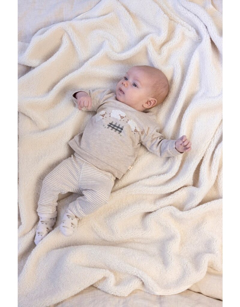 Feetje Baby Feetje Broek gestreept - Sleepy Sheepy - Taupe Melange - 52202373