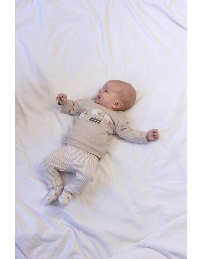 Feetje Baby Feetje Broek gestreept - Sleepy Sheepy - Taupe Melange - 52202373