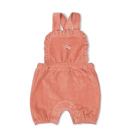 Feetje Baby Feetje Meisje - Tuinbroek kort Velours - Woodland Bloom - Mauve