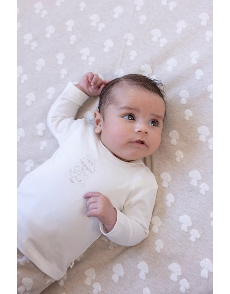 Feetje Baby Feetje Broek AOP - Dear Autumn - Taupe melee - 52202369