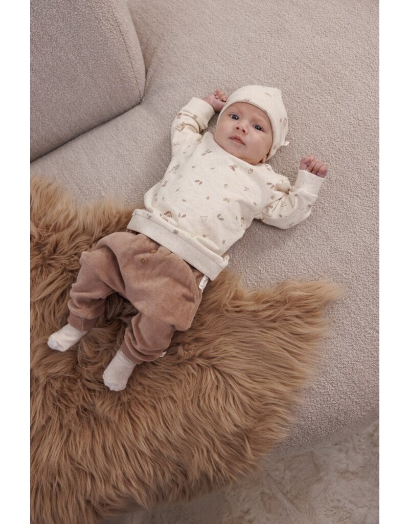 Feetje Baby Feetje Sweater AOP - Fall Favorites - Offwhite - 51602659