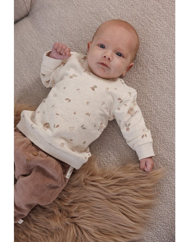 Feetje Baby Feetje Broek Velours - Fall Favorites - Hazelnoot - 52202439
