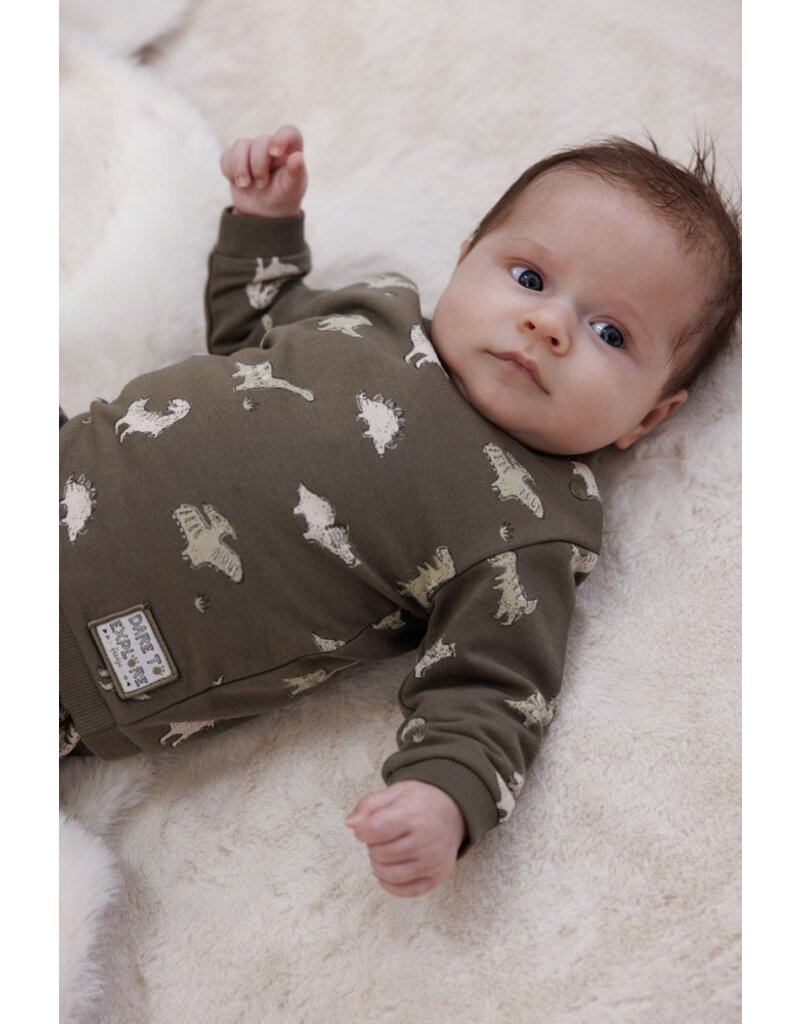 Feetje Baby Feetje Jongen - Sweater AOP - Rawrsome - Olijf - 51602614