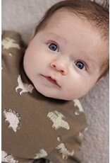 Feetje Baby Feetje Jongen - Sweater AOP - Rawrsome - Olijf - 51602614