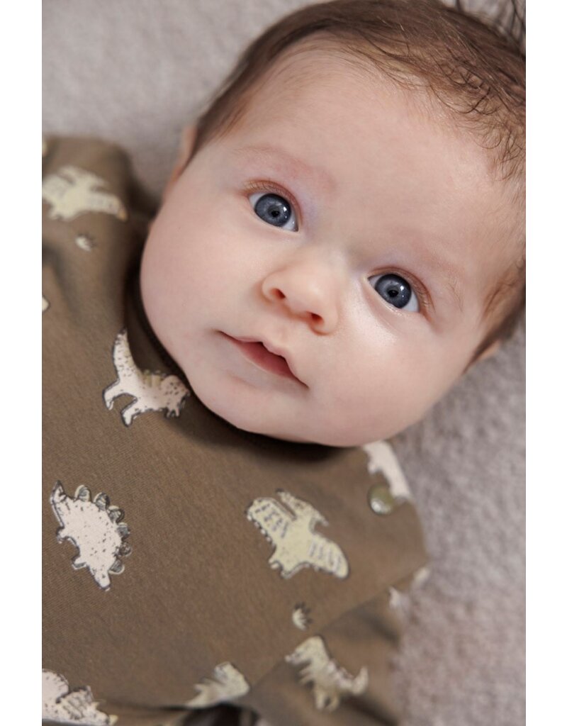 Feetje Baby Feetje Jongen - Sweater AOP - Rawrsome - Olijf - 51602614