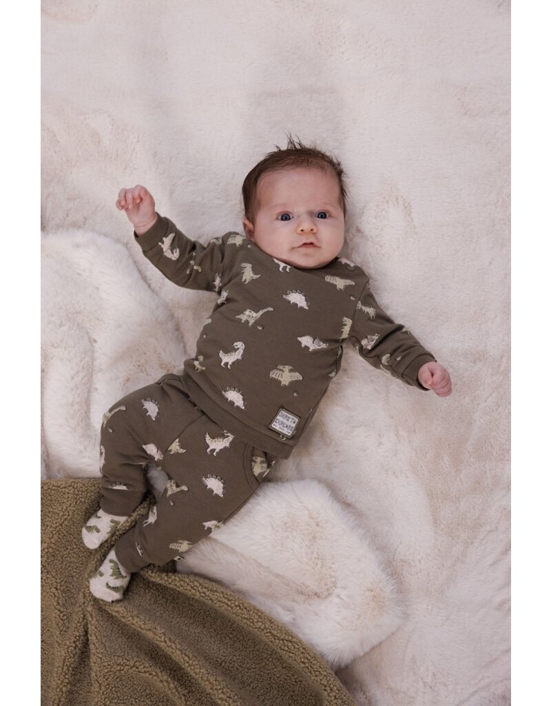 Feetje Baby Feetje Jongen - Sweater AOP - Rawrsome - Olijf - 51602614